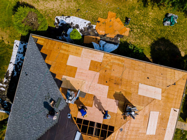 Best Storm Damage Roof Repair  in Steele, MO